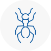 Ant Removals In Underwood