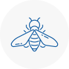 Bee Nest Removal Underwood