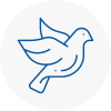 Bird Prevention Underwood