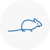 Mice Exterminators In Underwood