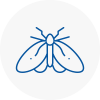 Moth Control Specialists In Underwood