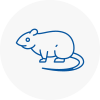 Rat Control Underwood