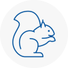 Underwood Rodent Removals