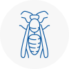 Underwood Wasp Nest Removal